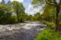 Cork_Kerry_2014 (38)